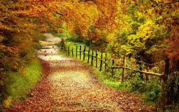 Widescreen Fall Desktop Wallpaper