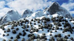 Winter Wallpaper 1920x1080