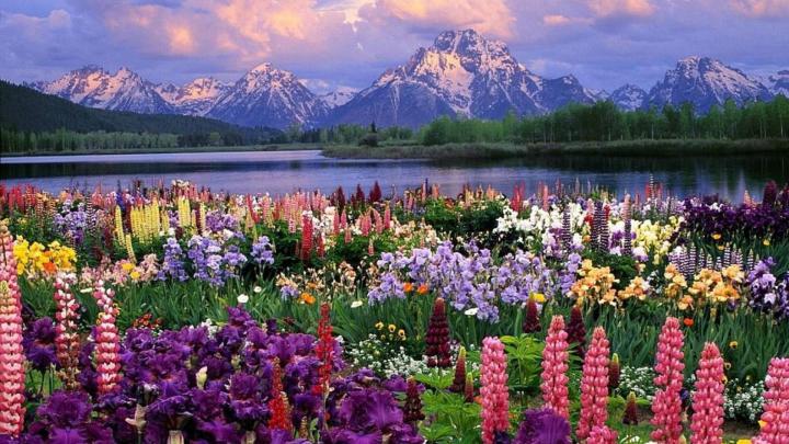 Spring Nature Wallpapers - Top Free Spring Nature Backgrounds 
