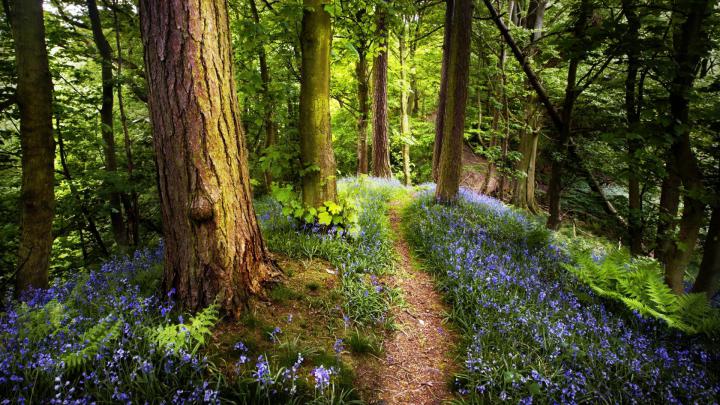 Spring Pics for Wallpaper (61+ images)