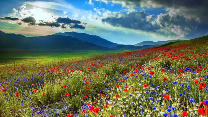 Spring Meadow Wallpapers (63+ background pictures)