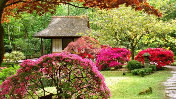 1920x1080 Hd Wallpaper Spring - Zendha