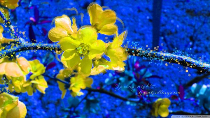 1920X1080 Spring Wallpaper -