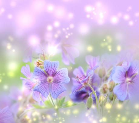 Free download 83 Springtime Desktop Wallpapers on WallpaperPlay 