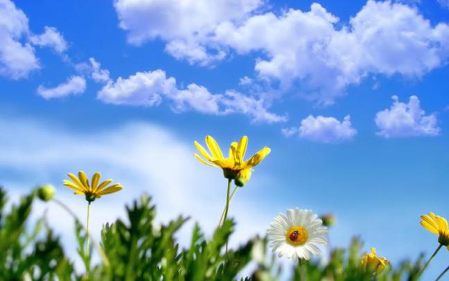 Free download spring wallpaper spring nature wallpaper 1920 1200 