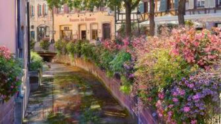 Free download Flowers Spring Wallpaper 1920x1080 Flowers Spring 