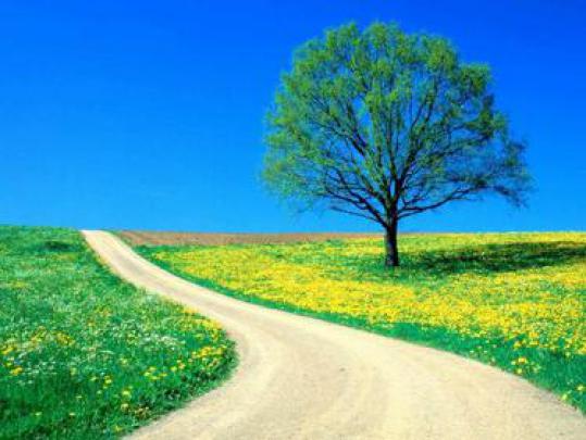 Free download Spring Seasonal wallpapers page 2 Crazy Frankenstein 
