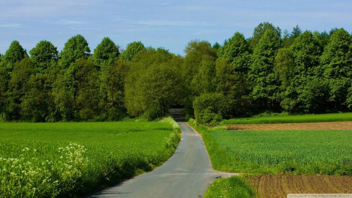 Summer Wallpapers 1920X1080 (81+ background pictures)