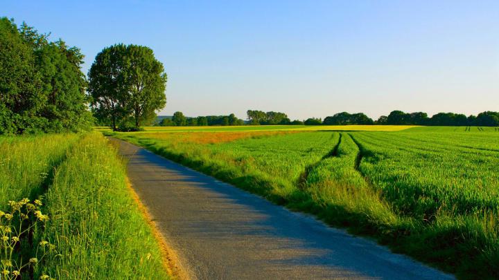 Summer Wallpaper 1920x1080 (78+ pictures)