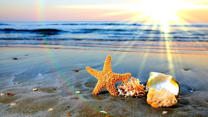 1920X1080 HD Summer Wallpapers - Top Free 1920X1080 HD Summer 