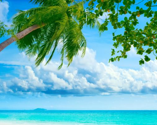Free download 1920x1080 Exotic Summer desktop PC and Mac wallpaper 