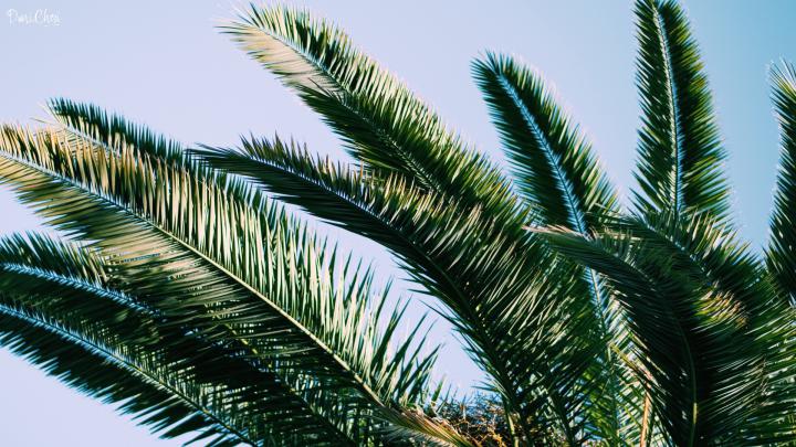 Summer Wallpapers 1920X1080 (81+ background pictures)