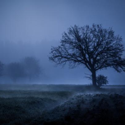 Weathering With You Wallpaper 4k - 1920x1080 Wallpaper - teahub.io