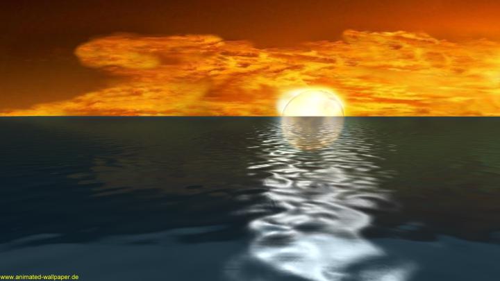 Free 1920x1080 Wallpaper -