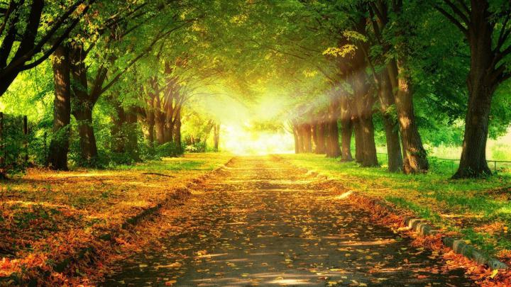 Road Wallpapers