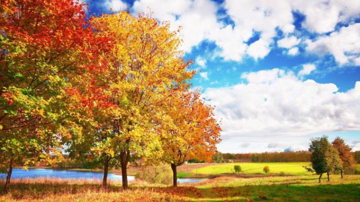 Free download Autumn Wallpapers Best Wallpapers [1920x1080] for your 