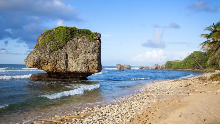 Free download Barbados Wallpapers Best Wallpapers [1920x1080] for your 