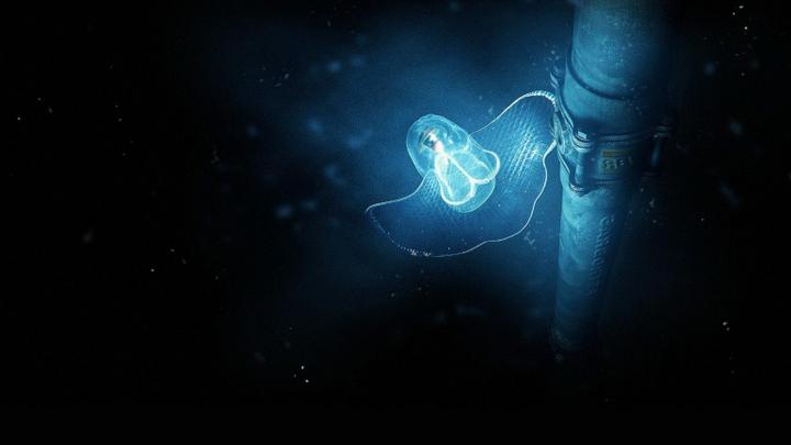 [48+] Best 1920x1080 Wallpaper 