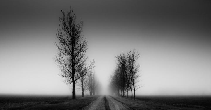 Download Nature Black Wallpaper 1920x1080