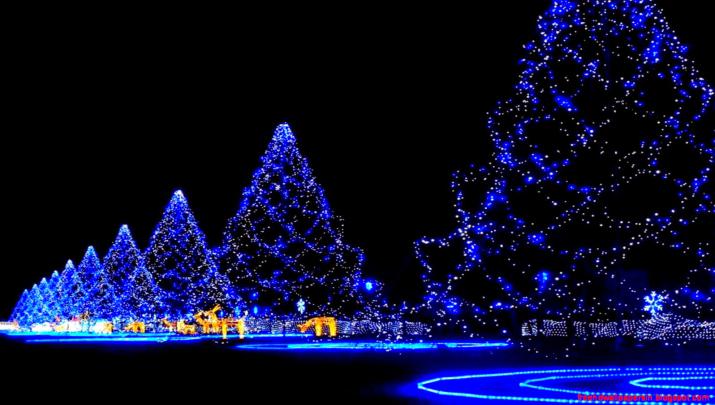Christmas Wallpaper 1920X1080 | Free HD Wallpapers