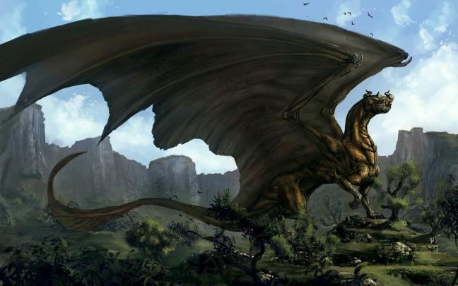 High Resolution Wallpaper: Cool HD Wallpapers (1680 x 1050)