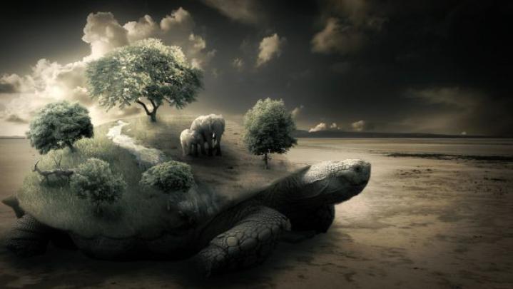 Cool Wallpapers 1920x1080