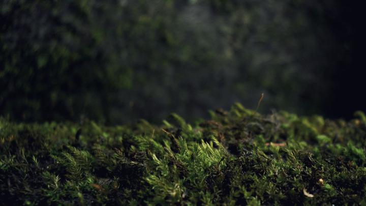 Dark wallpaper 1920x1080 \u00b7\u2460 Download free awesome full HD backgrounds 