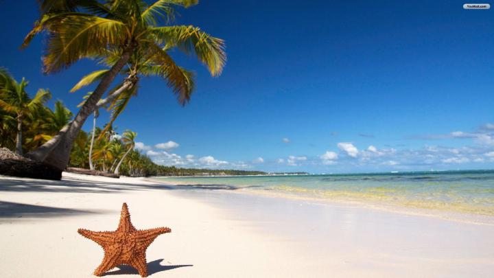 Tropical Desktop Wallpaper 1920x1080 -