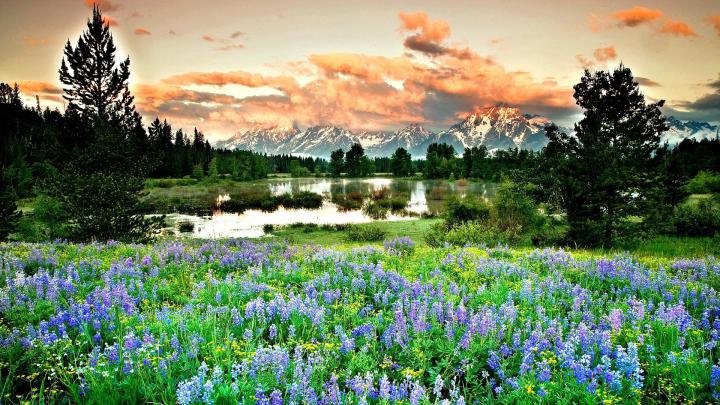 Free download High resolution Spring full hd 1920x1080 wallpaper 
