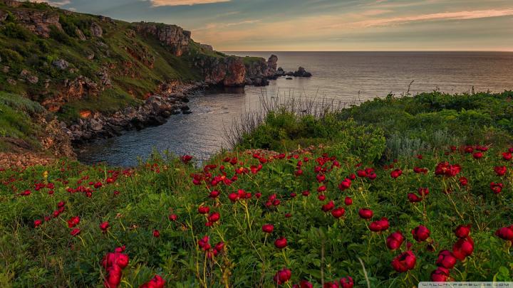 Bulgaria Wallpapers \u00b7\u2460 