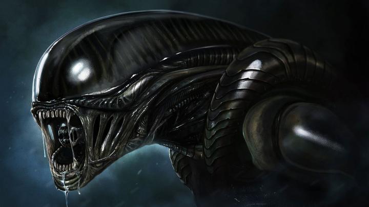 Download hd 1920x1080 Alien desktop wallpaper 293288 for free
