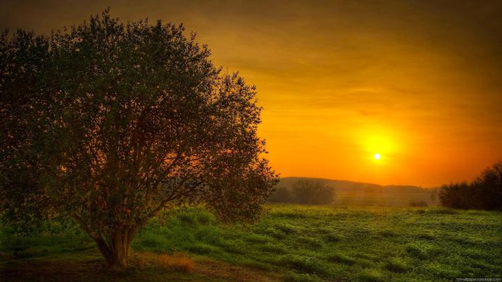 Desktop Wallpaper HD 1920x1080 (82+ images)