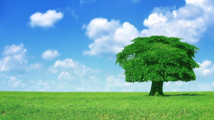Desktop Wallpaper HD 1920x1080 -
