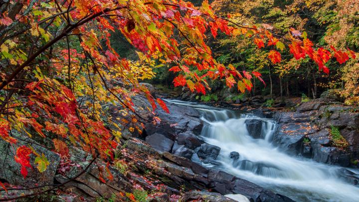 Free Fall Wallpaper 1920x1080 Deerhurst Resort Muskoka