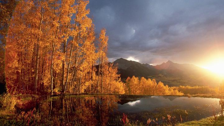 [30+] Fall Wallpaper 1920x1080 