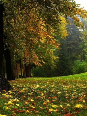 Free download Autumn Wallpapers Best Wallpapers [1920x1080] for your 