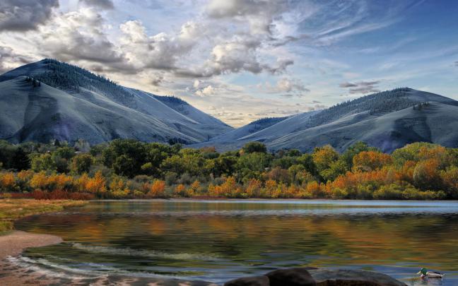 Fall Wallpaper 1920X1080 wallpaper - 189962