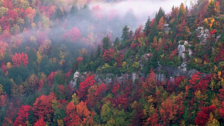 Free download Autumn Canyon Wallpaper 1920x1080 Autumn Canyon West 