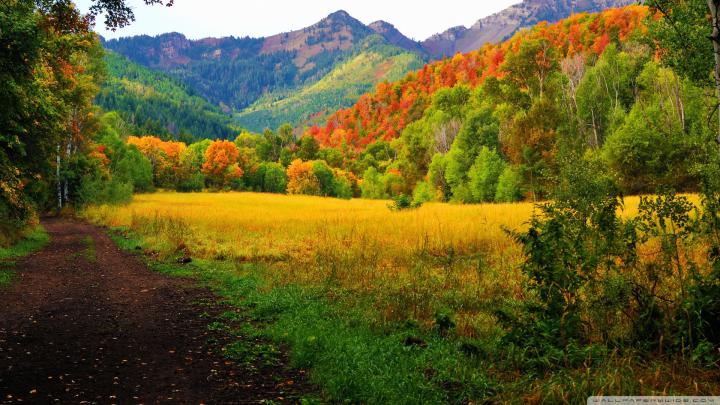[30+] Fall Wallpaper 1920x1080 