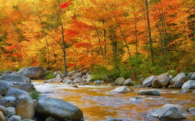 Free download Autumn Wallpaper 1920x1080 Autumn [1920x1080] for your 