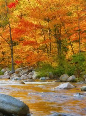 Free download Autumn Wallpaper 1920x1080 Autumn [1920x1080] for your 