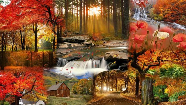 Photography Fall HD Wallpaper | Background Image | 1920x1080