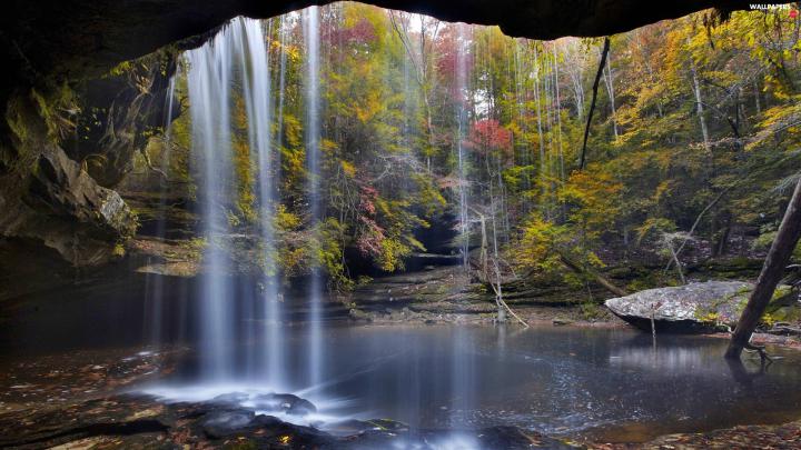 waterfall, cave, forest - Full HD Wallpapers: 1920x1080