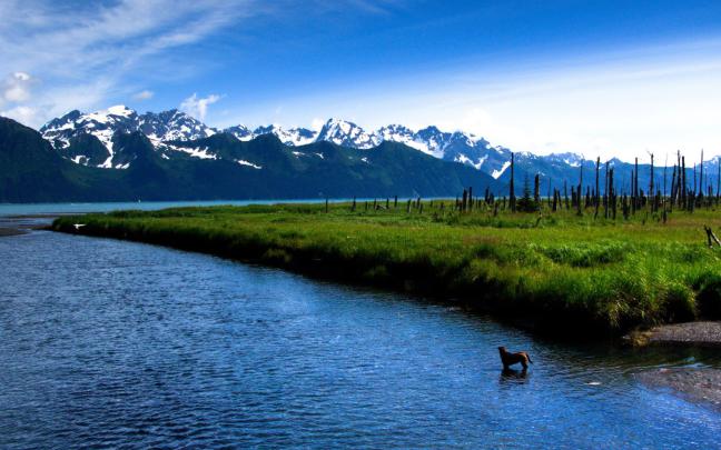 Nature Hd Wallpaper For Mobile 1920x1080 - Get Images Four