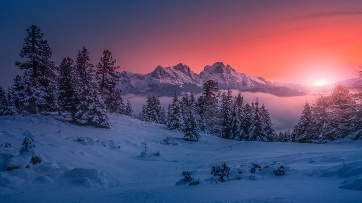 winter, forest, nature, sunset, snow, cold, landscape | 1920x1080 