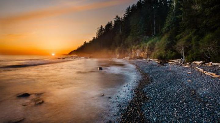 nature, sunset, trees, landscape | 1920x1080 Wallpaper - wallhaven.cc