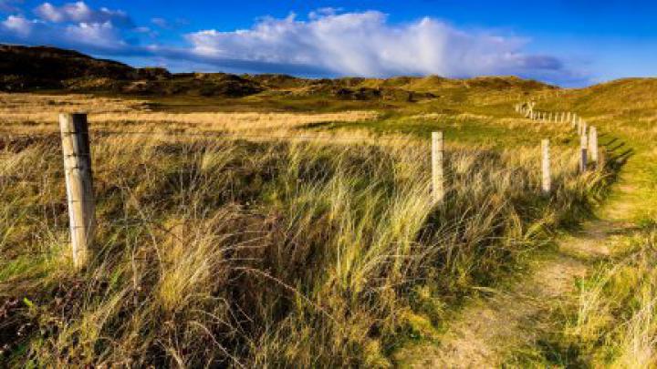 nature, fence, hills, field, landscape | 1920x1080 Wallpaper - wallhaven.cc