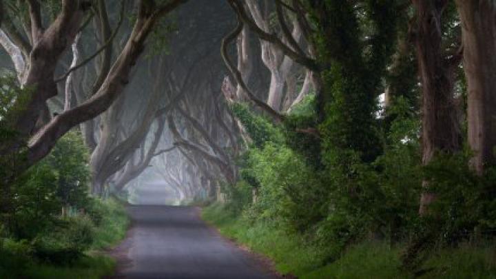 path, nature, landscape | 1920x1080 Wallpaper - wallhaven.cc
