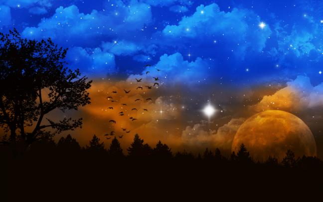 Free download Fantasy Landscape wallpaper 1920x1080 1 hebusorg High 