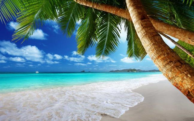 Ocean Landscape Wallpaper 4k - Popular Century